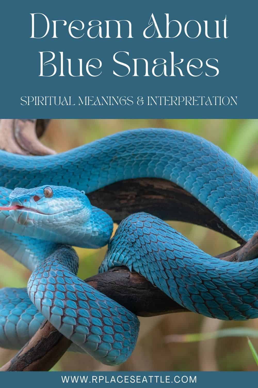 5. Dreams About Blue Snakes
