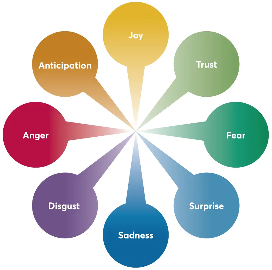 Assessing Your Emotional Responses