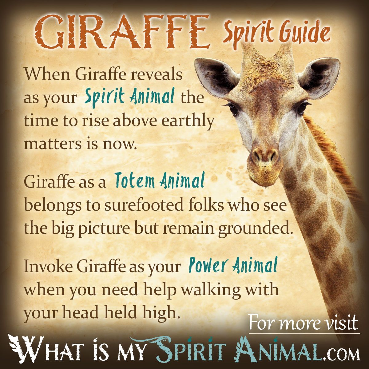 Biblical Context Of Giraffe Symbolism