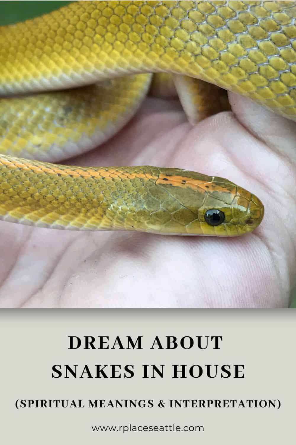 Common Interpretations Of Snake Dreams In Hinduism