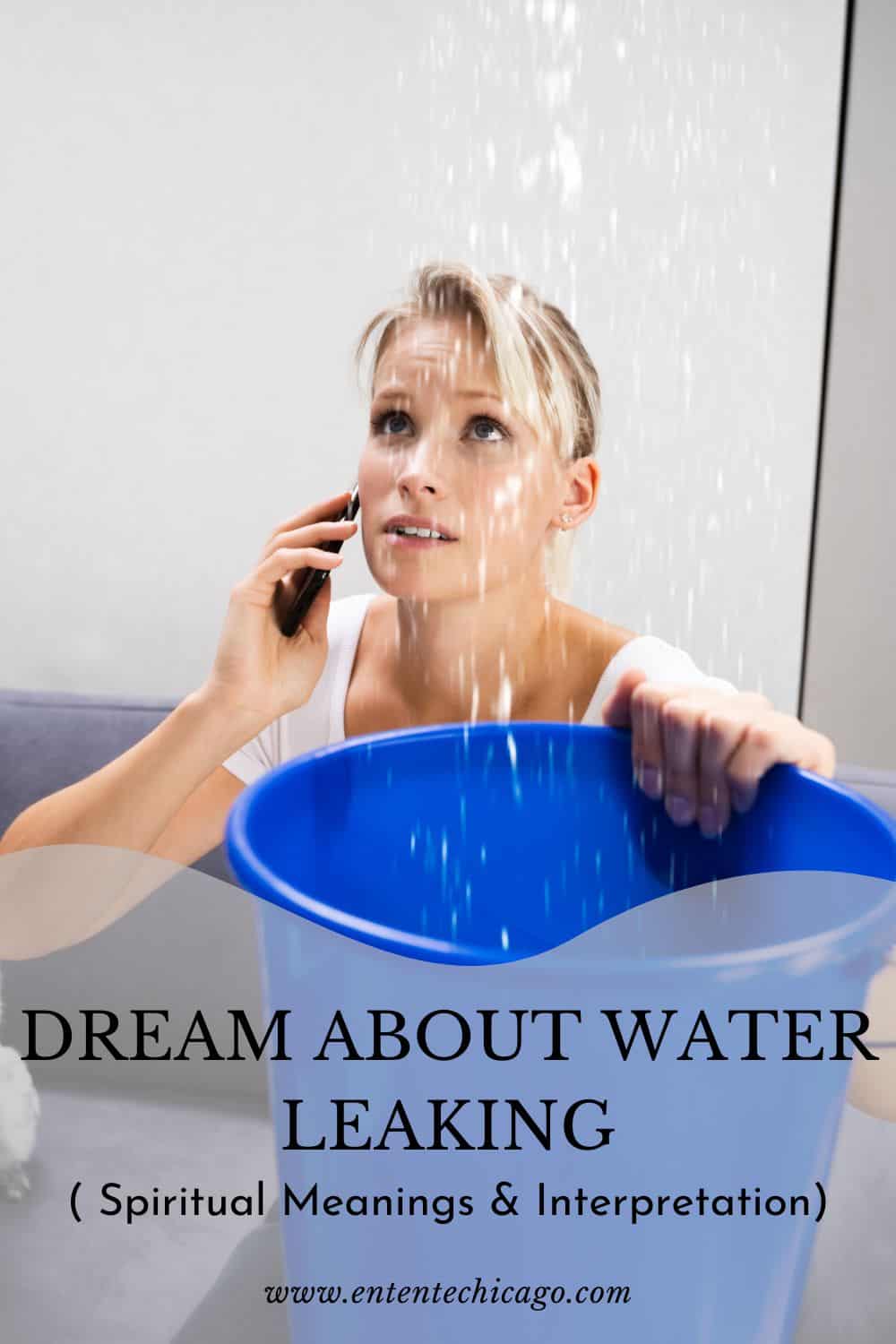 Dreaming Of Water Leaking