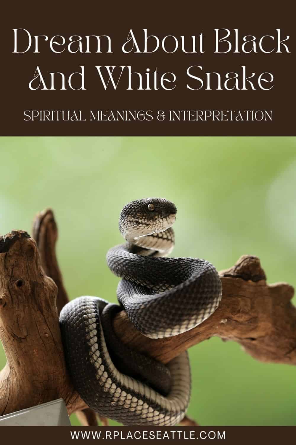 Interpreting Snake Dreams In Hinduism