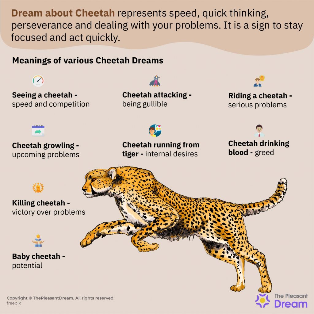 Other Factors Influencing Dream Animal Meaning