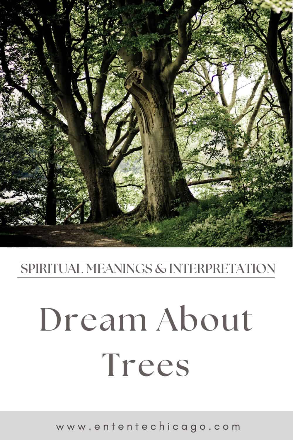 Positive And Negative Meanings Of Dreams Of Climbing Trees