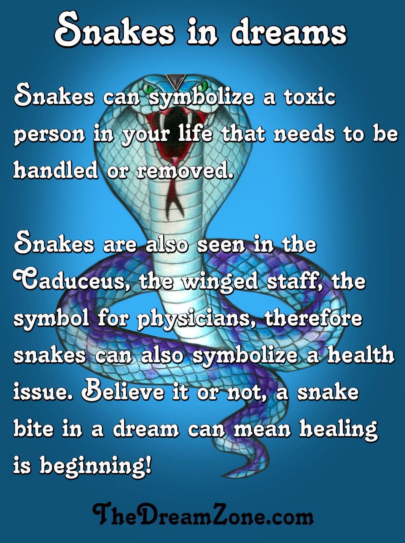 Significance Of Snakes In Dreams