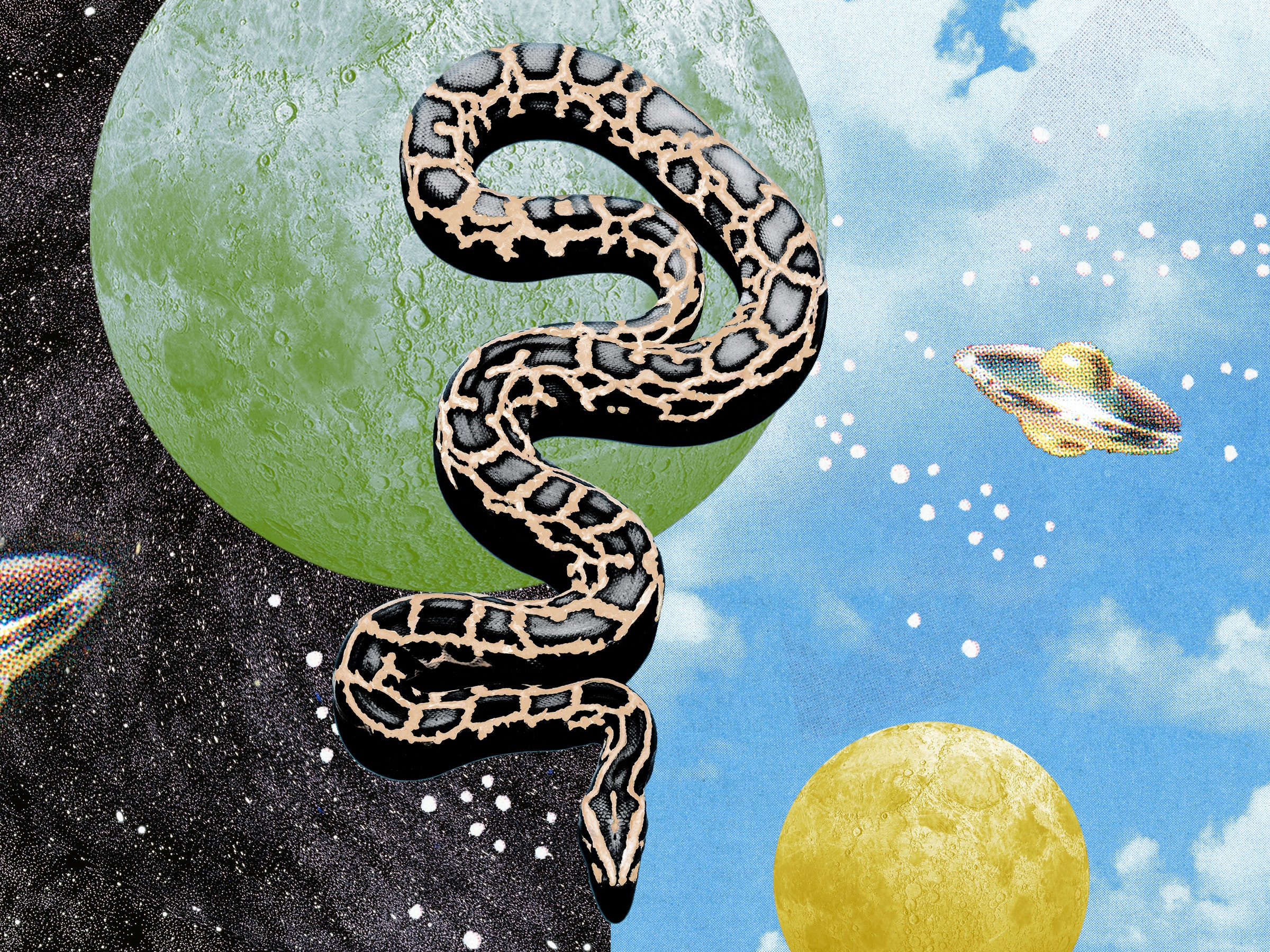 Symbolic Meaning Of A Black Snake In Dreams