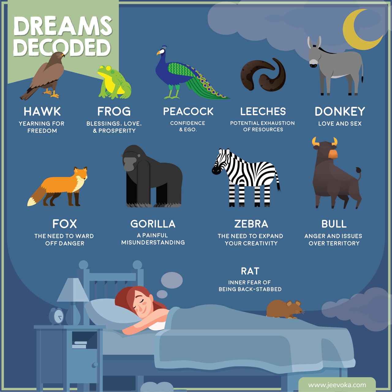 Symbolic Meanings Of Dream Animals