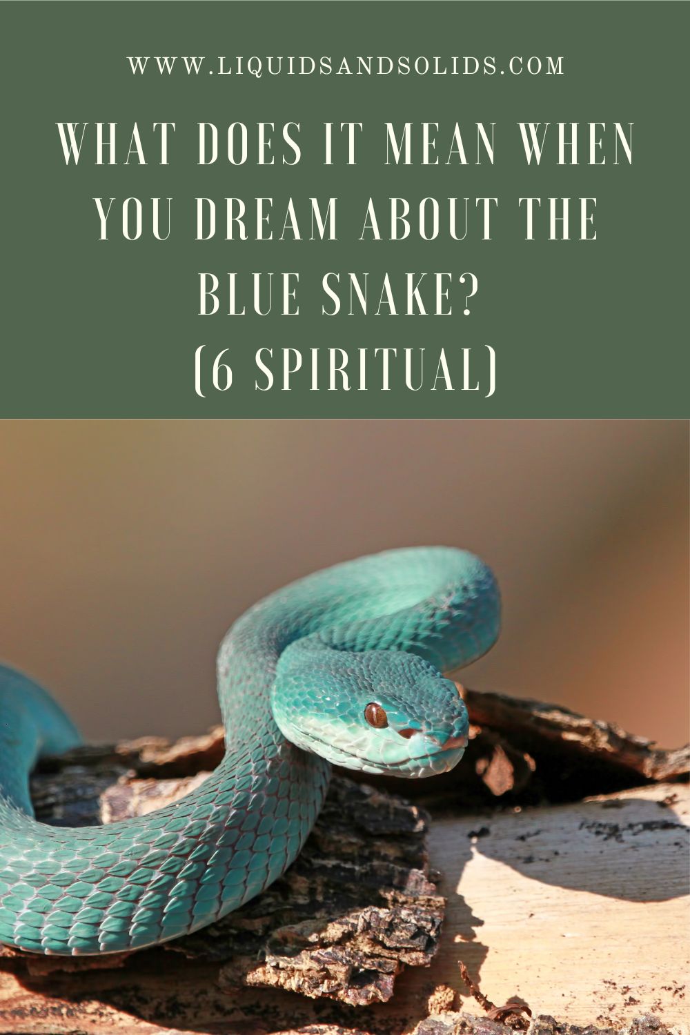 The Significance Of Snake Dreams In Hinduism
