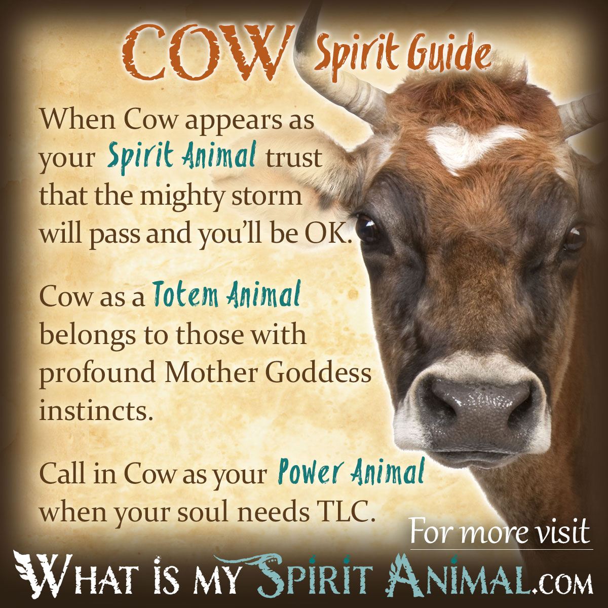 What Is The Prophetic Meaning Of Cows In Dreams?