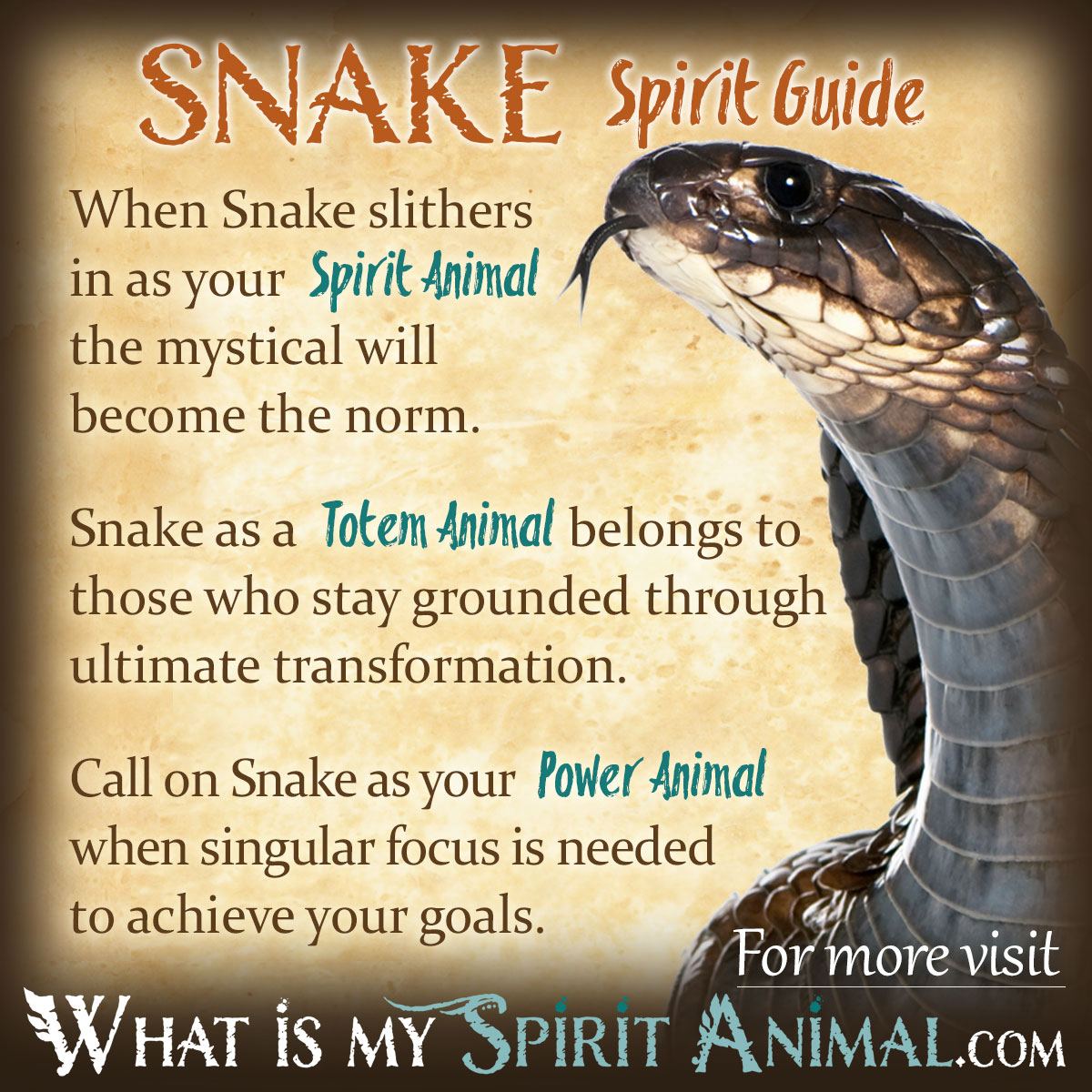 White Snake As A Totem Animal