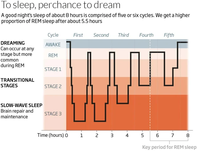 Unlocking the Secrets of Napping and its Effects on Sleep