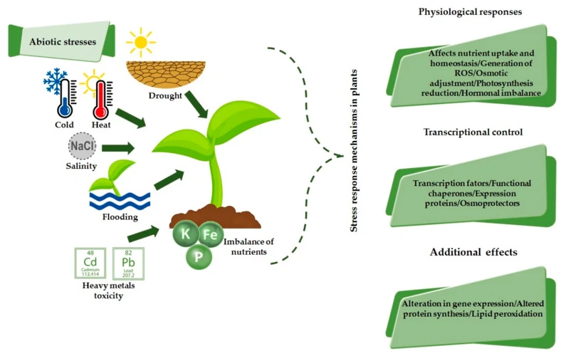 Benefits Of Incorporating Plants