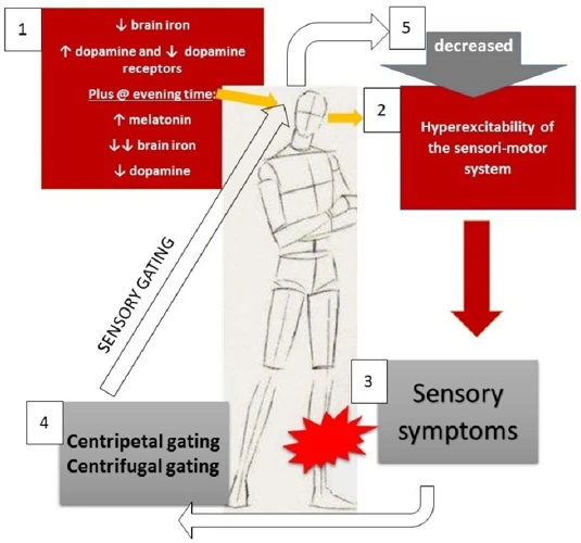 Diagnosing Restless Leg Syndrome In Children