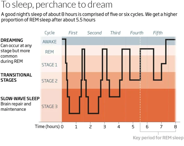 Dreaming During Rem Sleep