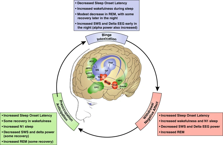 How Alcohol Affects Rem Sleep Patterns