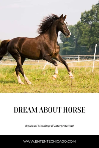 How Do Different Horse Dreams Affect One'S Life?