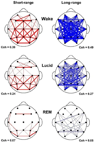 How Lucid Dreams Occur: