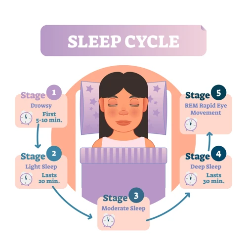 How Much Sleep Do You Need?