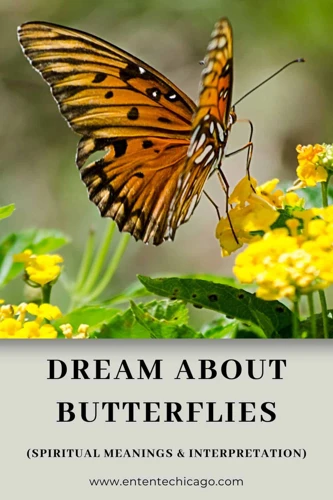 How To Interpret Butterfly Dreams