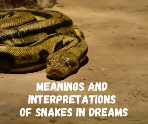 How To Interpret Your Snake Dreams