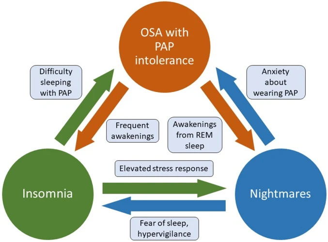 Introduction: What Is Sleep Apnea?