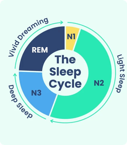 Nightmares And Rem Sleep: A Complex Relationship