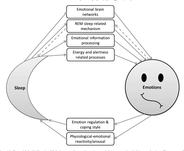 Rem Sleep And Emotional Memory Processing