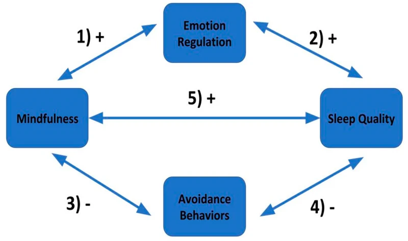 Sleep Deprivation And Emotional Instability