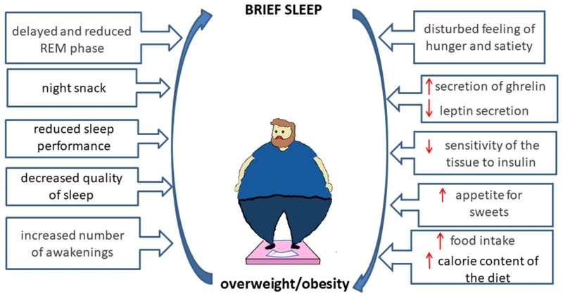 The Connection Between Nutrition And Insomnia