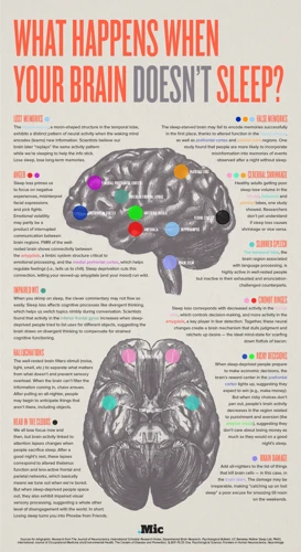 The Effect Of Sleep Deprivation On The Body