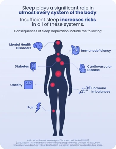 The Effect Of Sleep Deprivation On The Brain