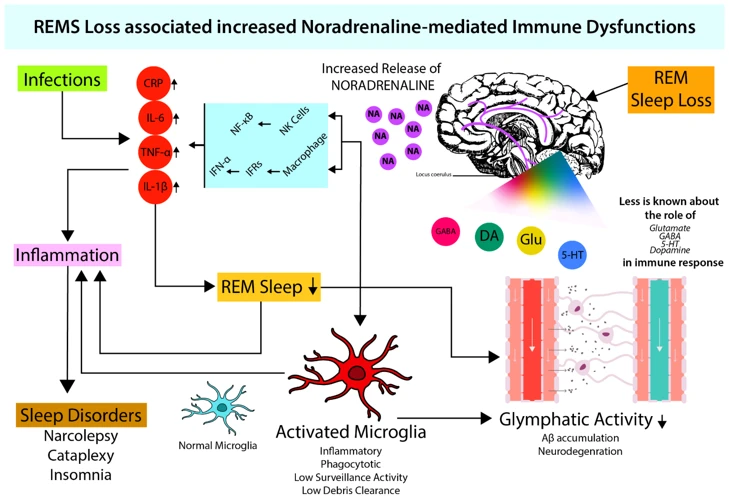 The Impact Of Neurotransmitters On Sleep Disorders