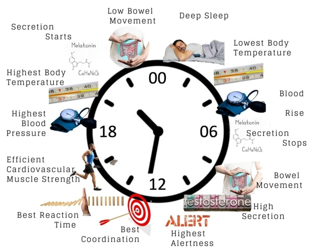 The Importance Of Circadian Rhythm For Sleep