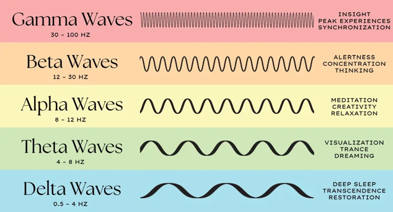 The Importance Of Different Brain Waves During Sleep