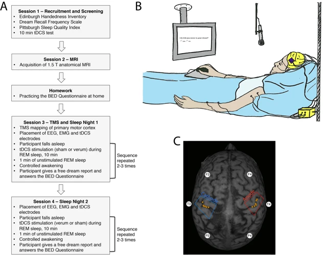 The Link Between Emotional Experiences And Dreams