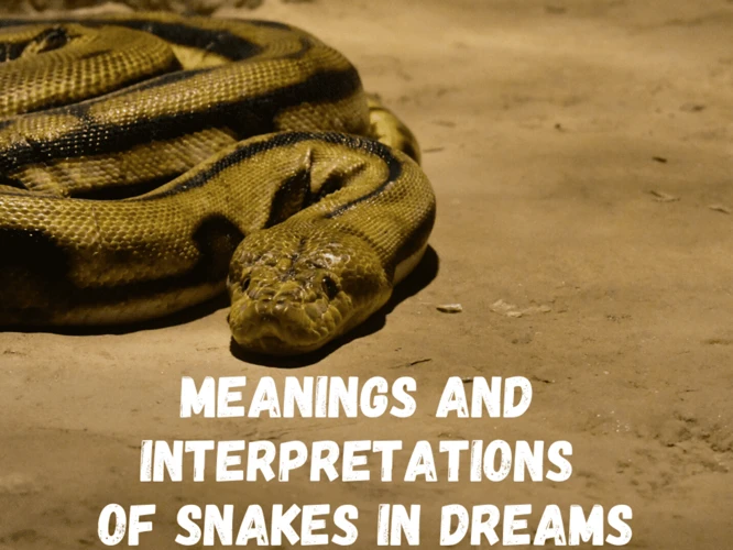 The Meanings Of Snake Dreams