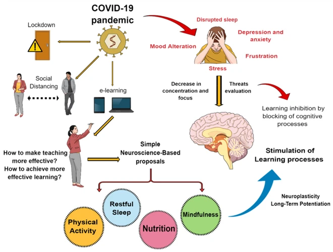 The Neuroscience Of Relaxation