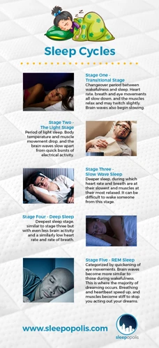 The Physical Benefits Of Rem Sleep