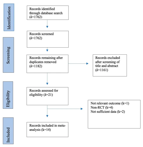 The Role Of Medication