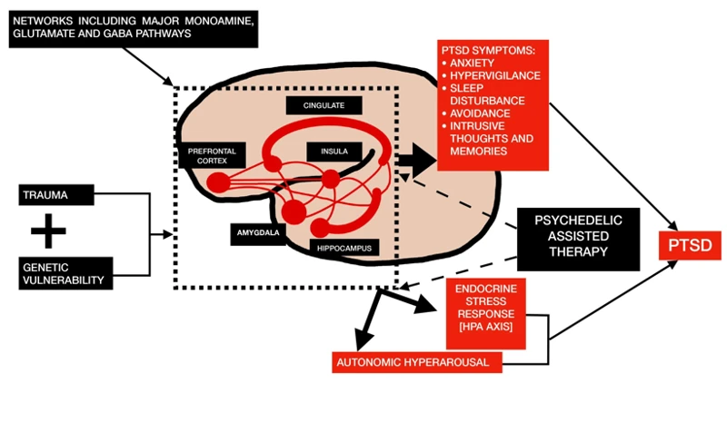 The Role Of Therapy