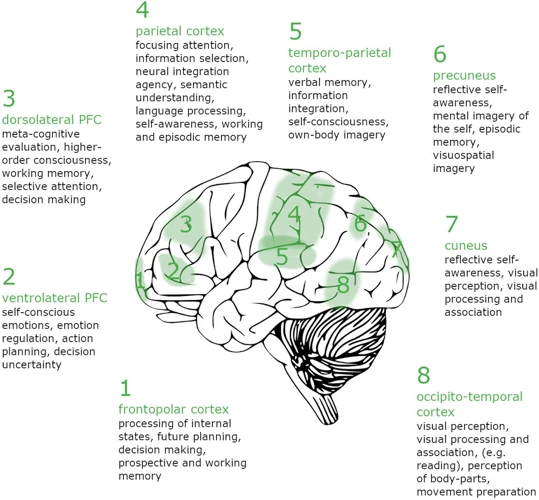 The Science Behind Lucid Dreaming And Memory Recall