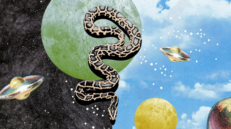 The Symbolic Meaning Of Snakes