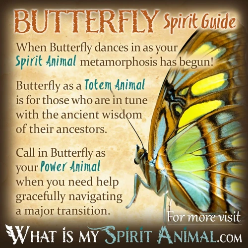 The Symbolism Of Butterflies