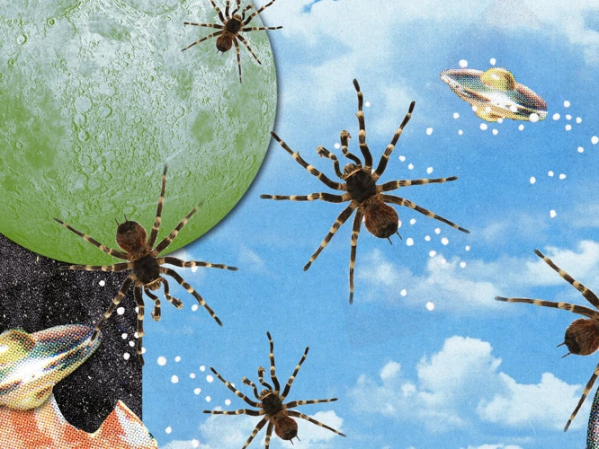 The Symbolism Of Spiders In Dreams