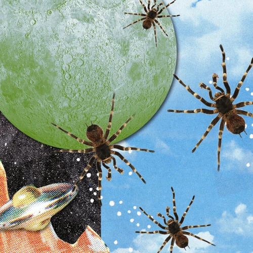 Types Of Spider Dreams And Their Meanings