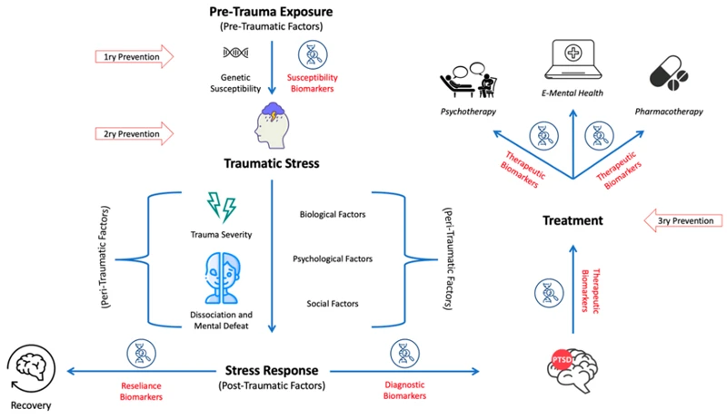 Understanding Ptsd-Related Nightmares