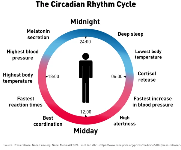 Ways To Sync Your Circadian Rhythm