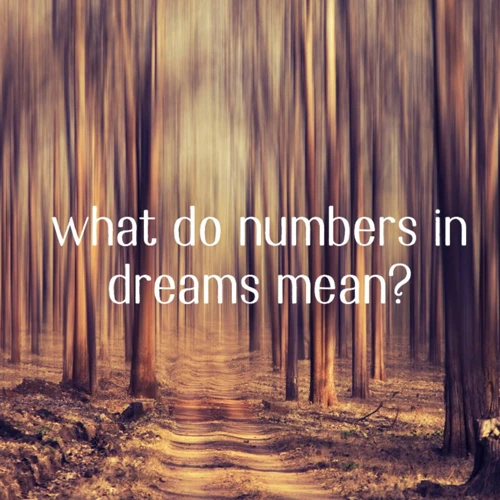 What Do Numbers Represent In Dreams?