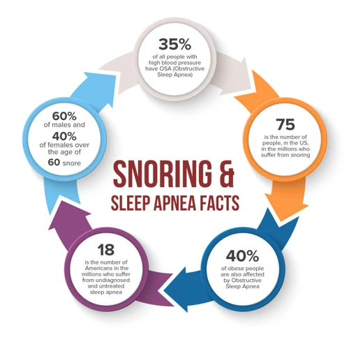 What Is Sleep Apnea?